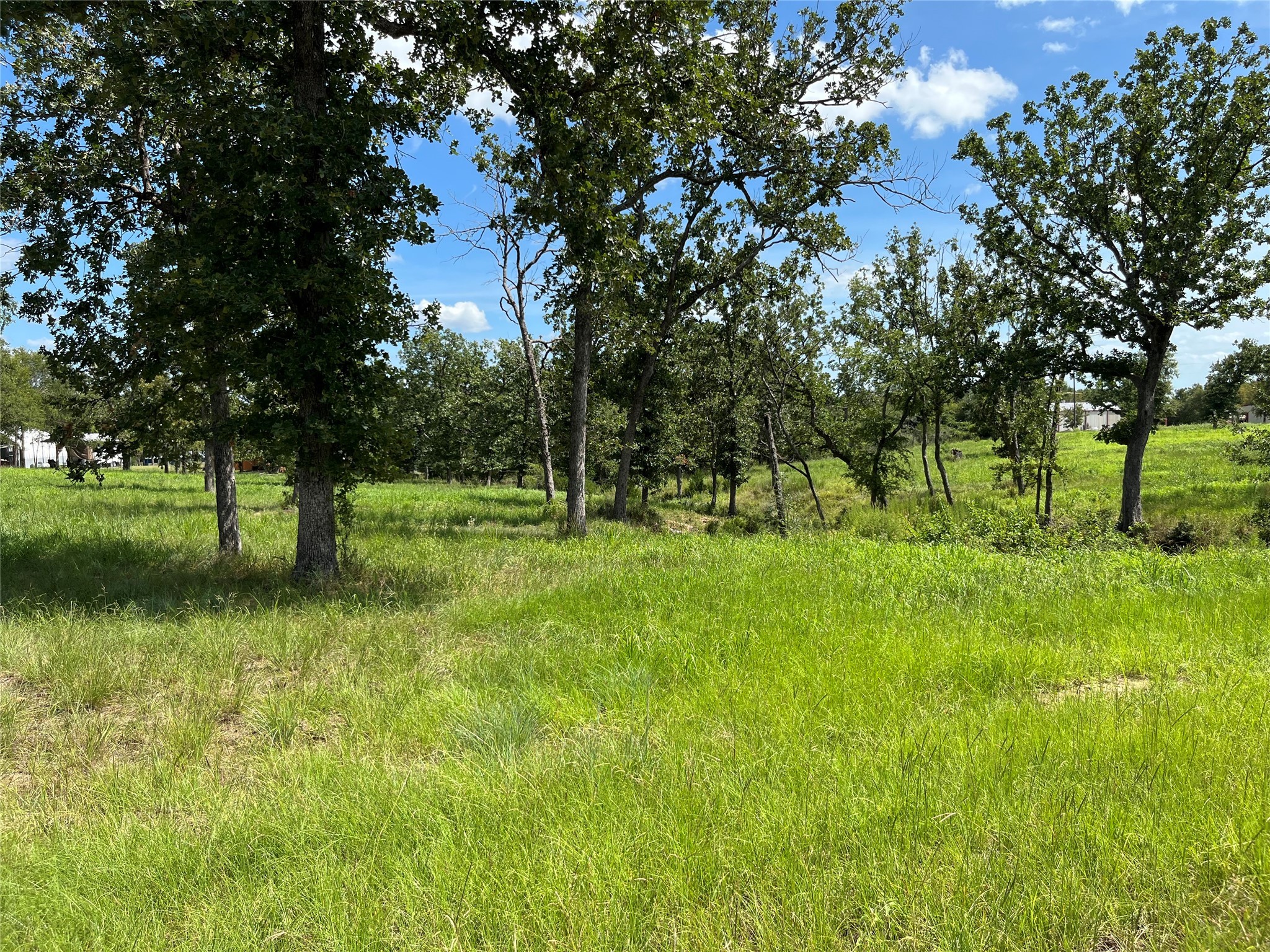 0 Hickory Loop Thornton, TX 76687 - Photo 5 of 7 a view of park space