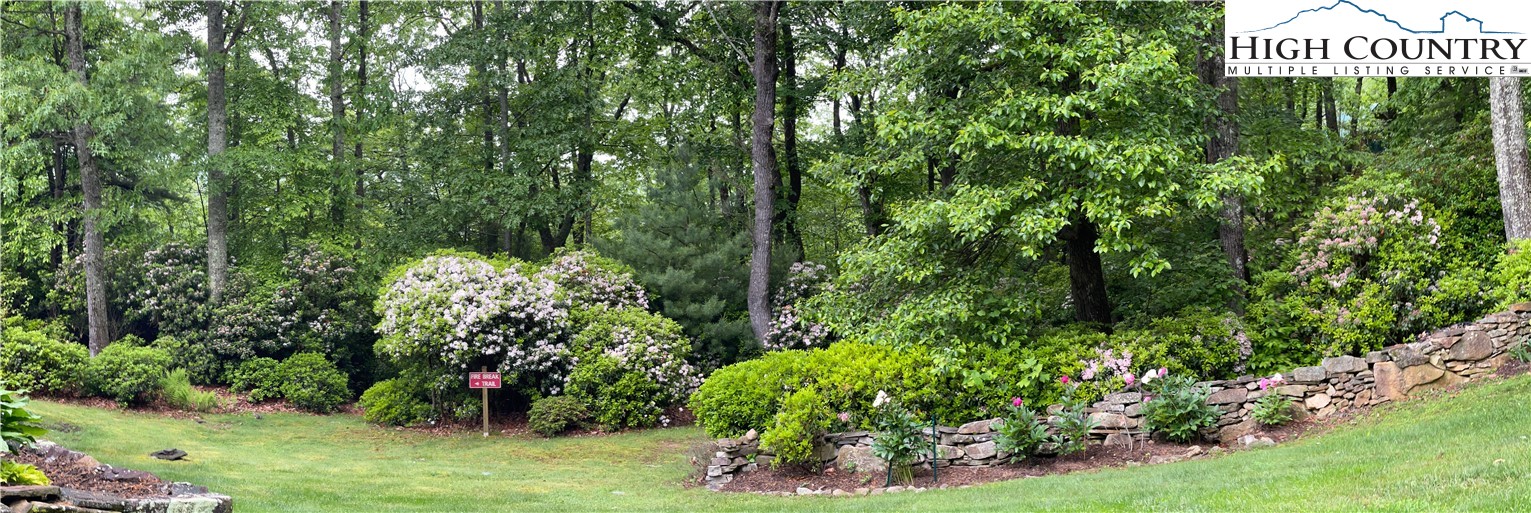 191 Deer Oaks Road Deep Gap, NC 28618 - Photo 49 of 50 Gallery Image 49
