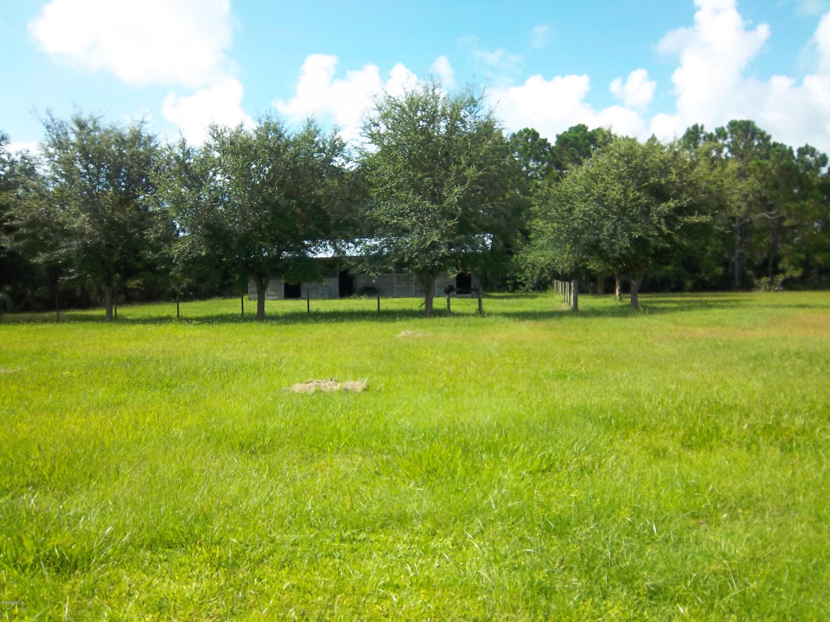 3695 Grant Road Grant Valkaria, FL 32949 - Photo 36 of 44 Back Pasture w/ 4 Stall Barn