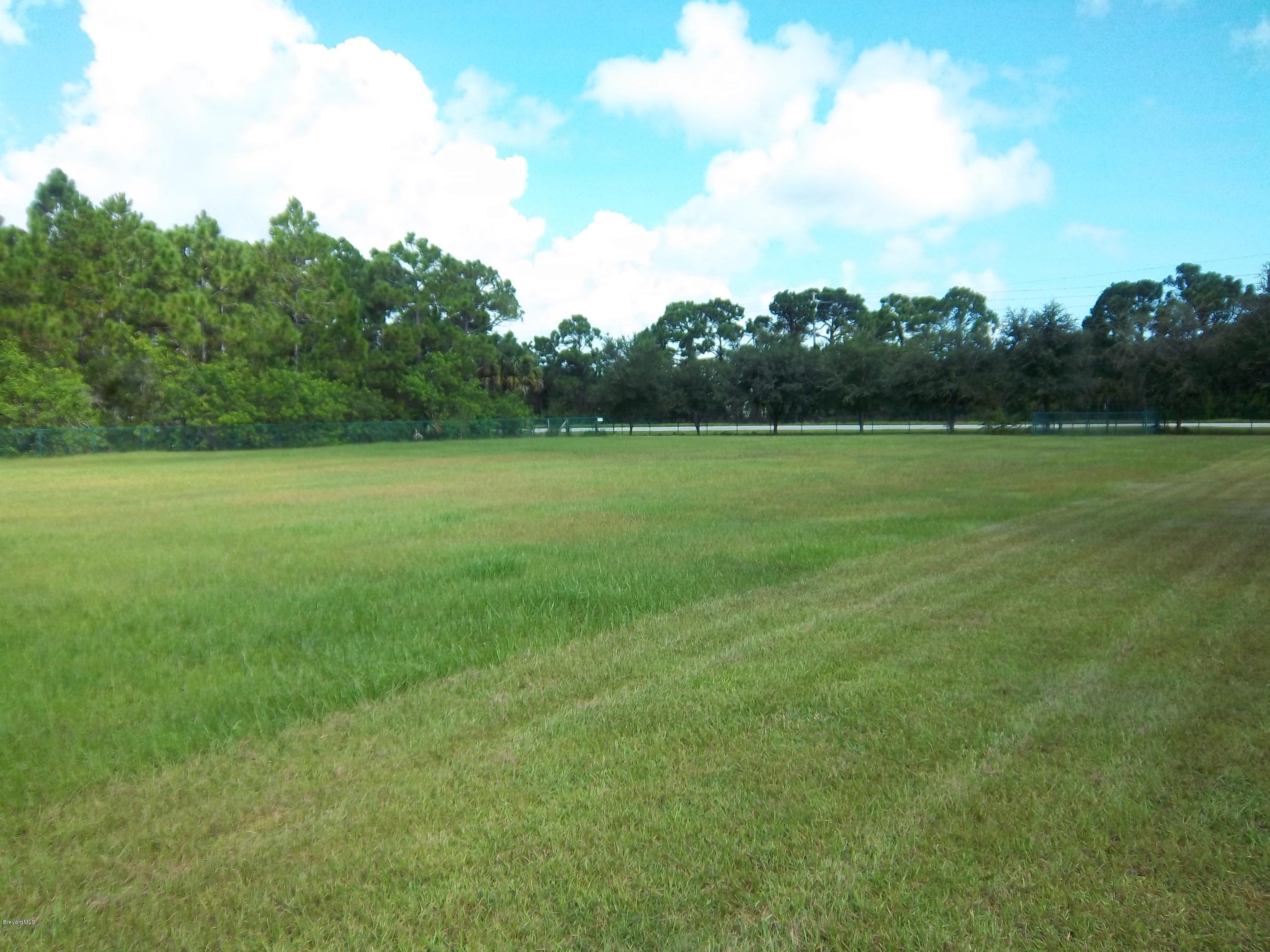 3695 Grant Road Grant Valkaria, FL 32949 - Photo 40 of 44 Front Pasture