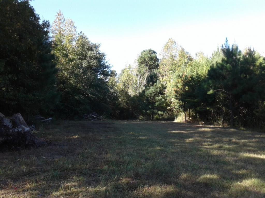 3421 Woods Chapel Road Graham, NC 27253 - Photo 8 of 12 Gallery Image 8