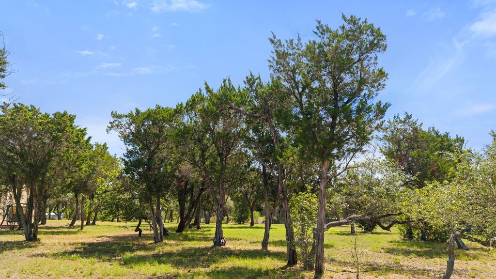 11842 Rim Rock Trail Austin, TX 78737 - Photo 40 of 40