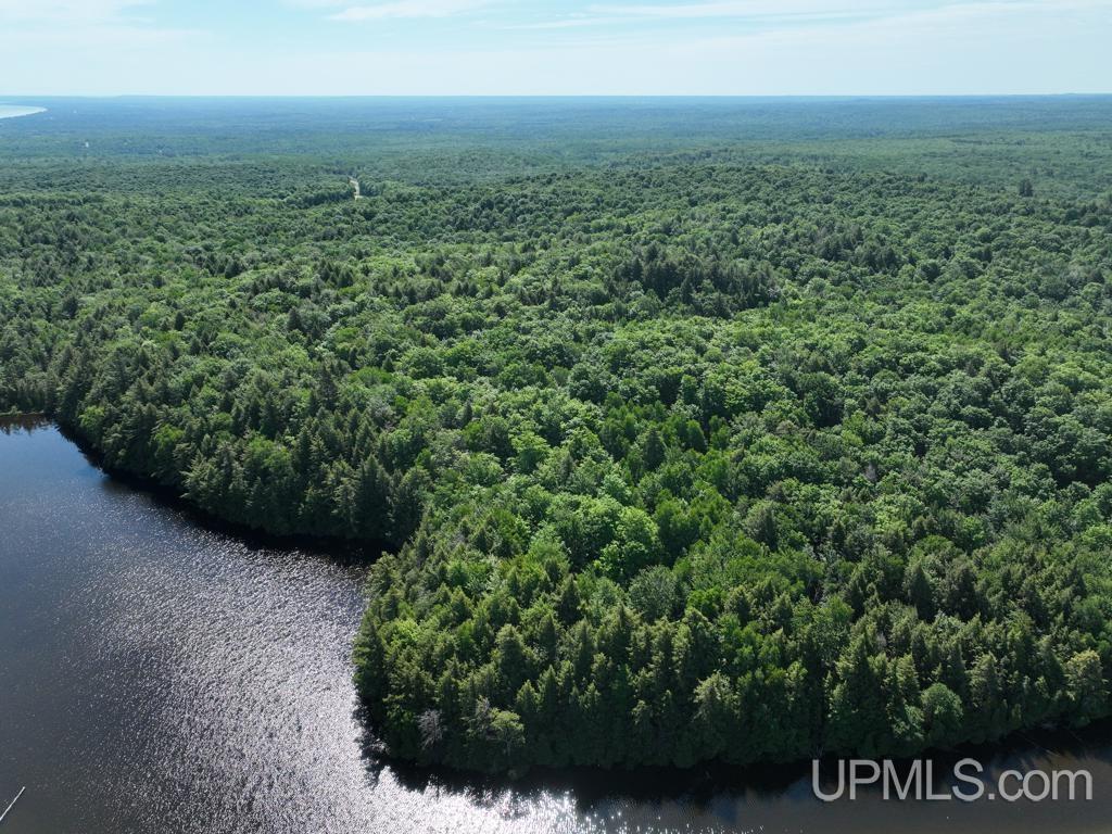 0 County Road 553 Road Marquette, MI 49855 - Photo 10 of 38