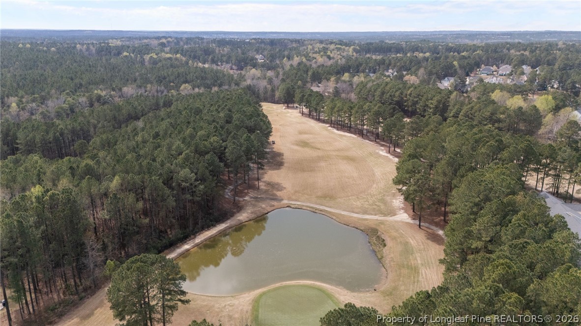 126 Pine Hawk Drive Spring Lake, NC 28390 - Photo 43 of 48 an aerial view of a house