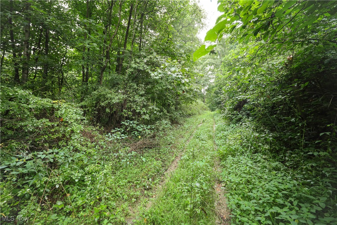 30939 Jacks Run Road Quaker City, OH 43773 - Photo 28 of 48 Gallery Image 28