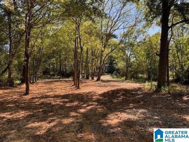 Country Hills Road, Unit 4A Montevallo, AL 35115 - Photo 2 of 3
