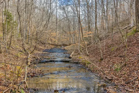 a view of painting on the wall
