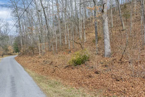 a view of a pathway with a yard