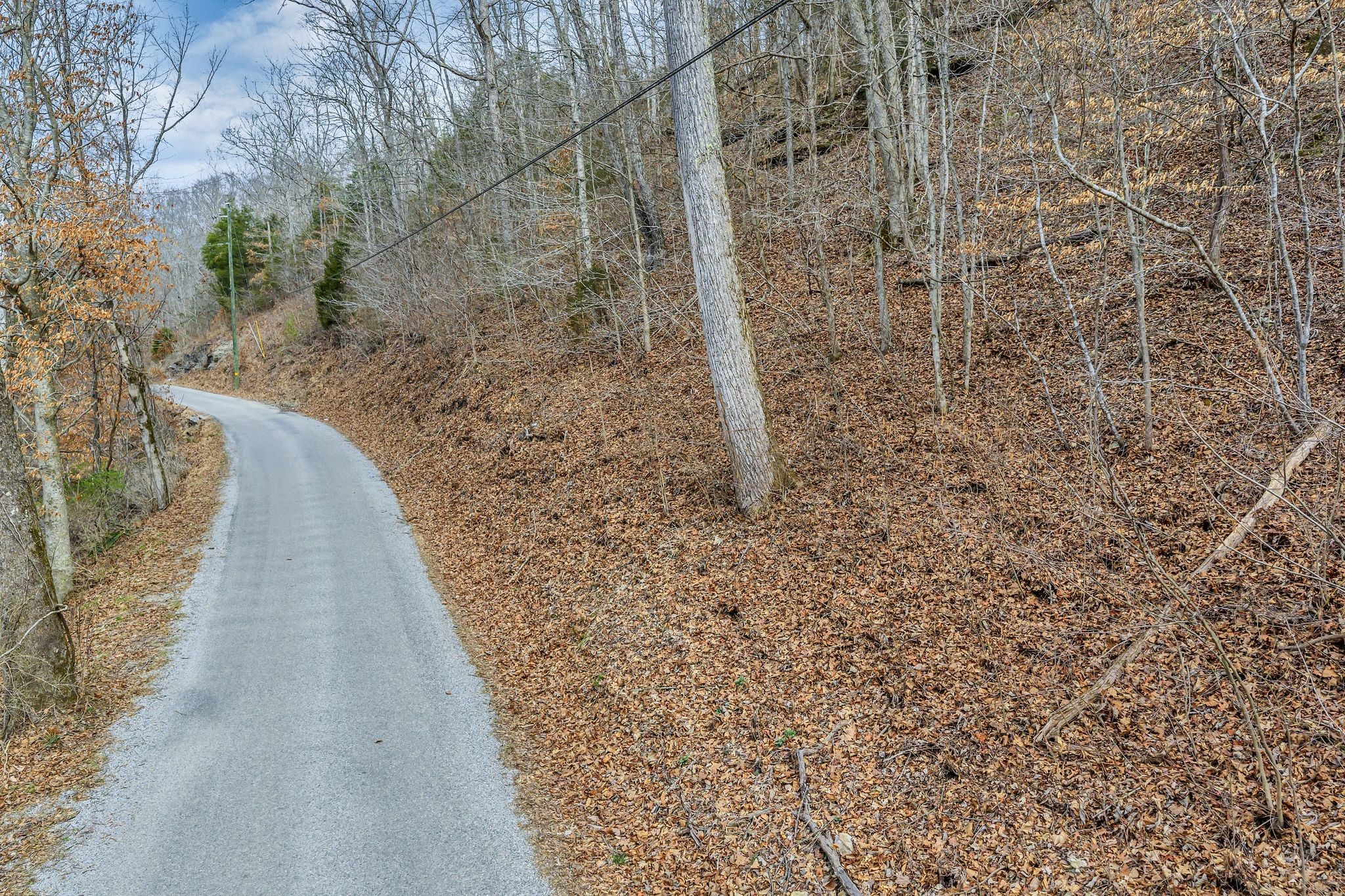 0 Old Sams Creek Road Pegram, TN 37143 - Photo 13 of 13