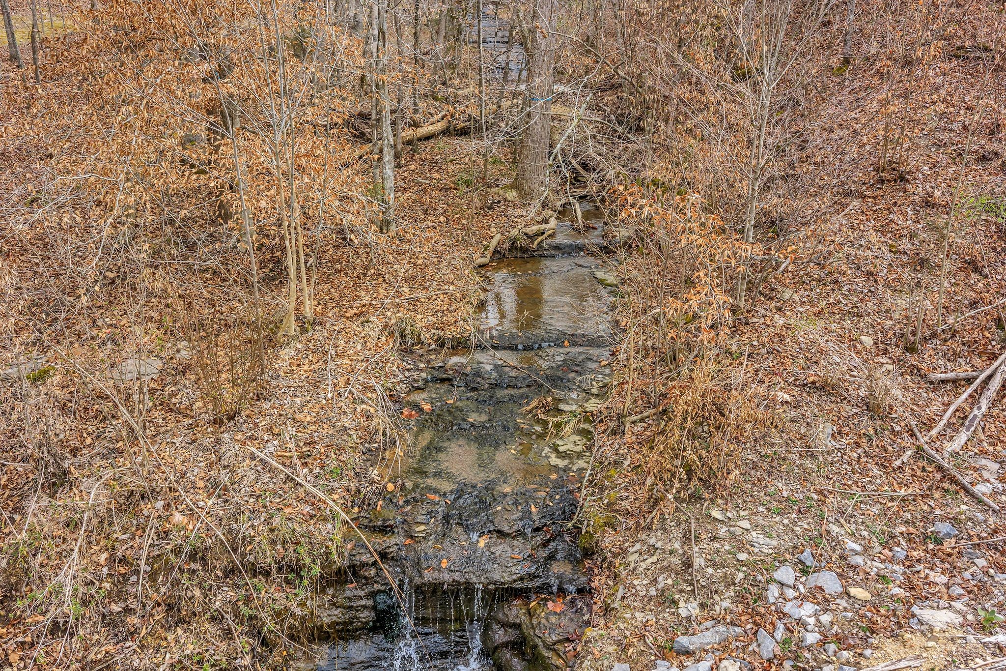 0 Old Sams Creek Road Pegram, TN 37143 - Photo 2 of 13