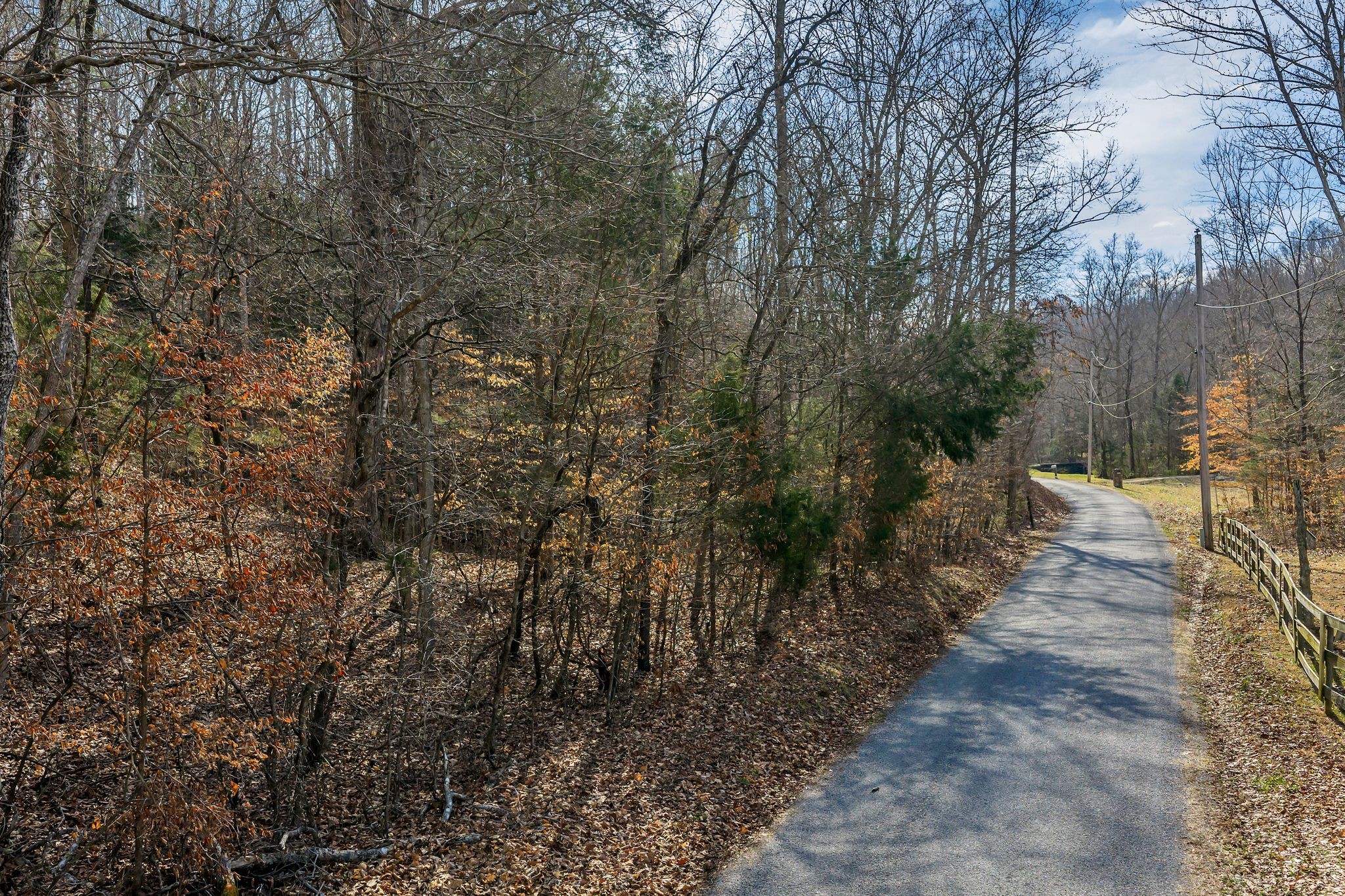 0 Old Sams Creek Road Pegram, TN 37143 - Photo 7 of 13