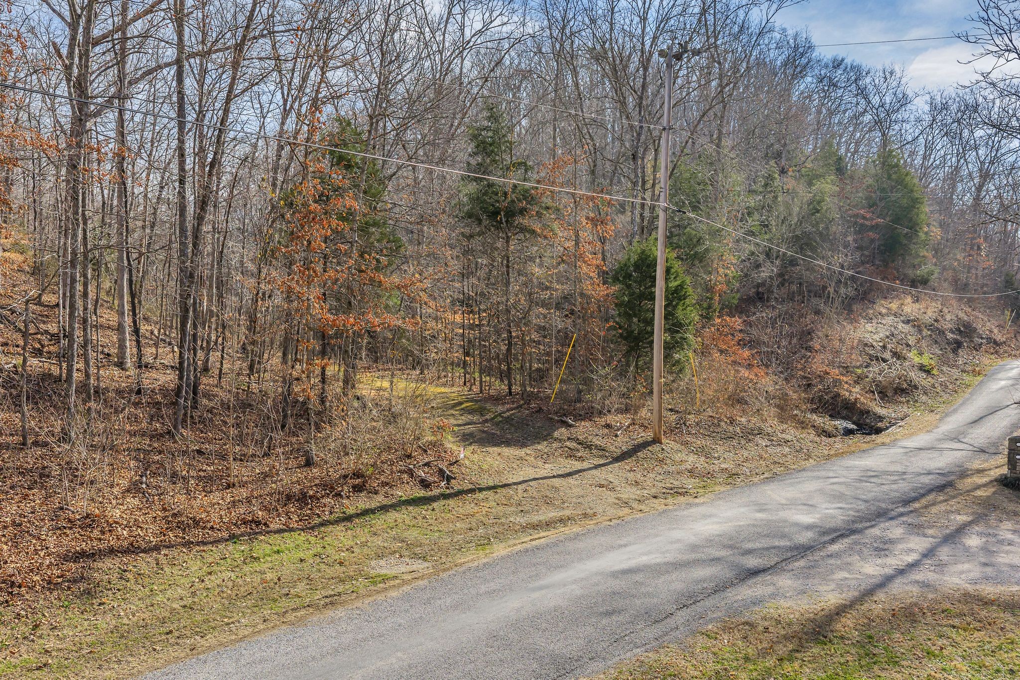 0 Old Sams Creek Road Pegram, TN 37143 - Photo 8 of 13