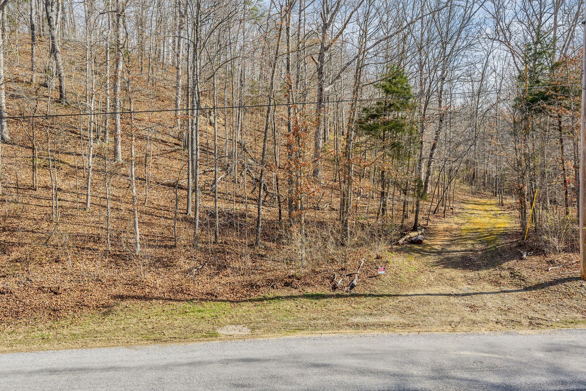 0 Old Sams Creek Road Pegram, TN 37143 - Photo 9 of 13