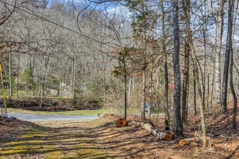 a view of a backyard of the house