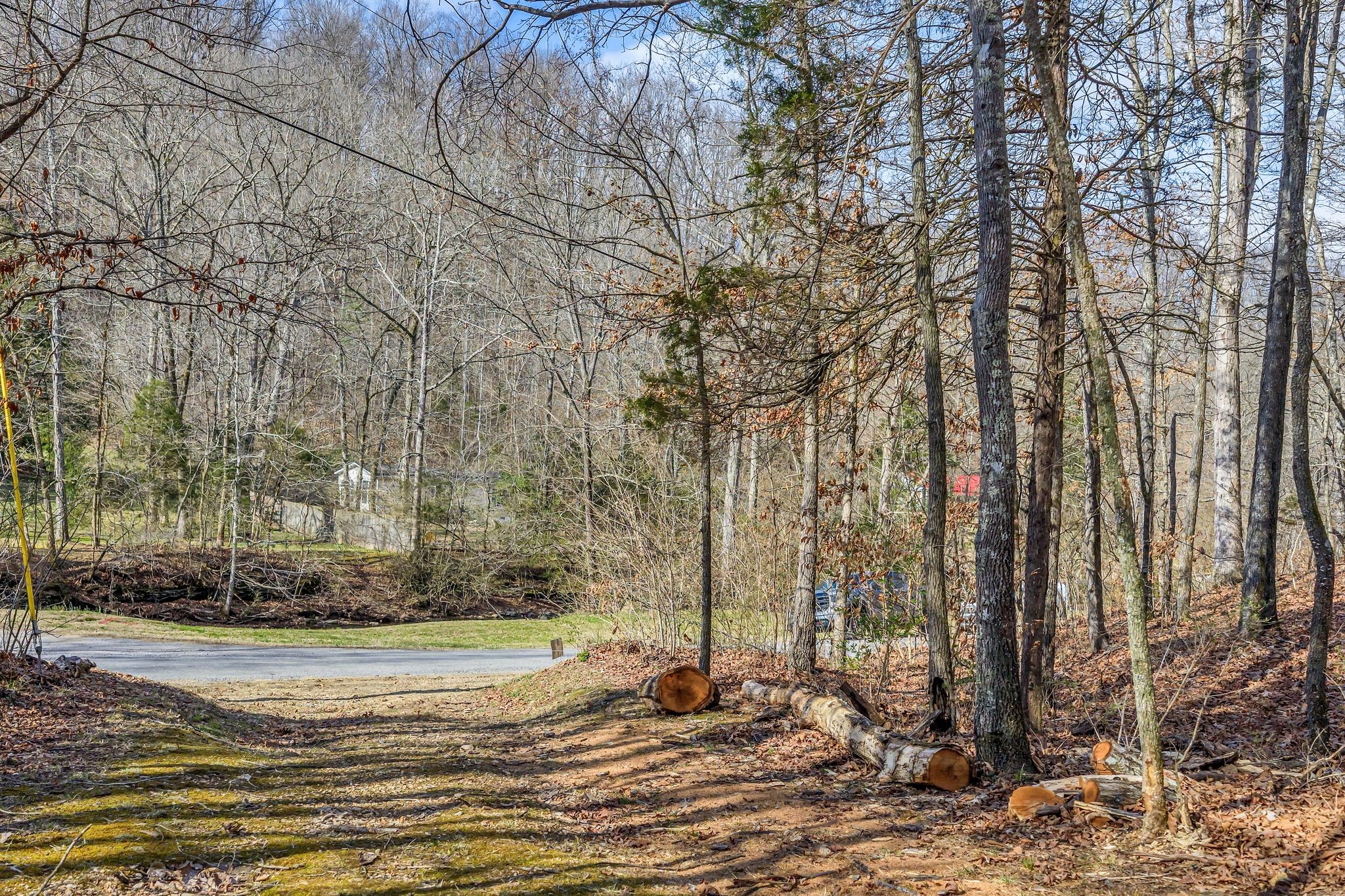 0 Old Sams Creek Road Pegram, TN 37143 - Photo 10 of 13