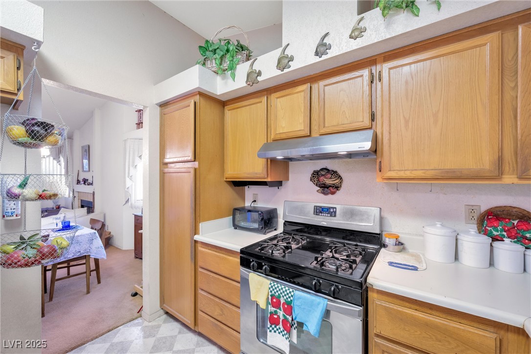 325 Wintercress Drive Henderson, NV 89002 - Photo 9 of 18