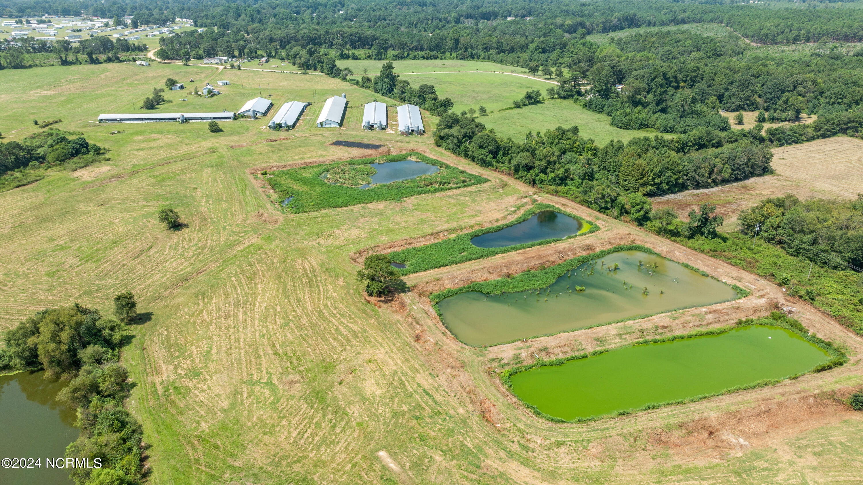 0 Camp Trailee Road Dudley, NC 28333 - Photo 11 of 21 CampTraileeRd-DudleyNC-25