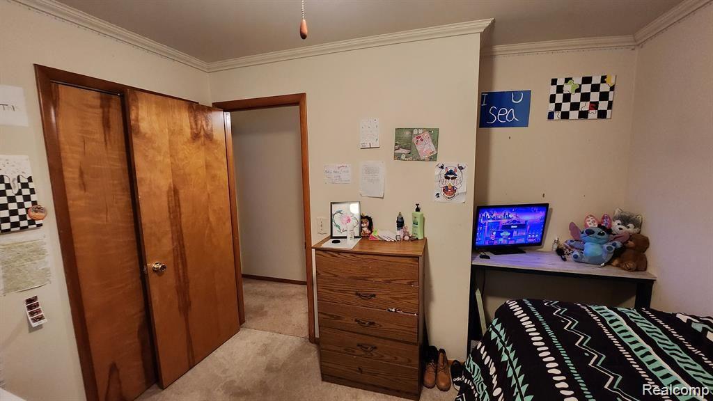 13281 North Bray Road Clio, MI 48420 - Photo 24 of 47