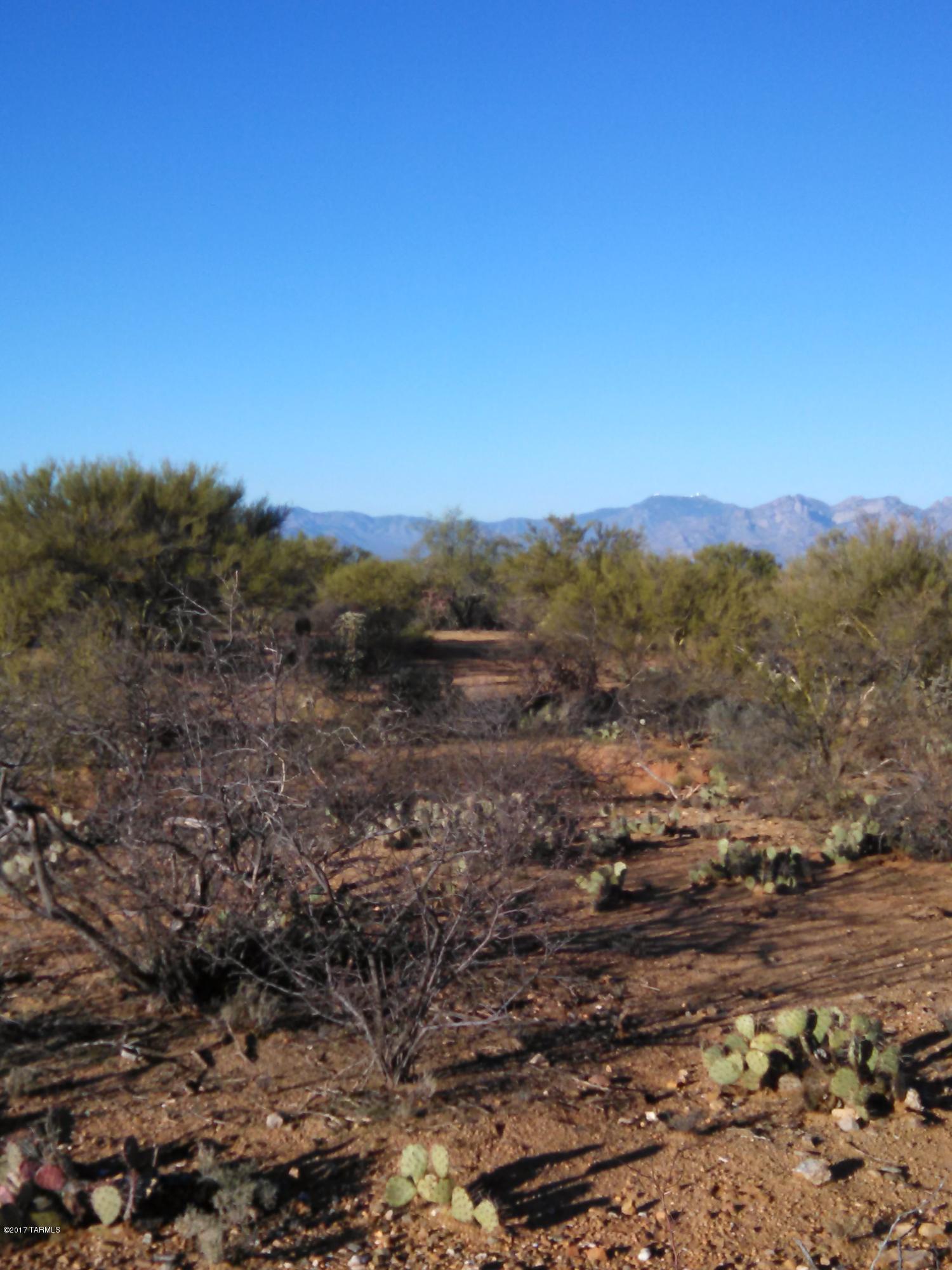0 West Phillips Road, Unit 302 Tucson, AZ 85736 - Photo 4 of 10 Gallery Image 4