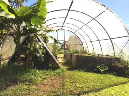 18-4271 Luna Ikena Road Mountain View, HI 96771 - Photo 17 of 19