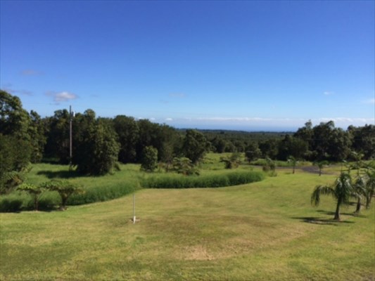 18-4271 Luna Ikena Road Mountain View, HI 96771 - Photo 6 of 19