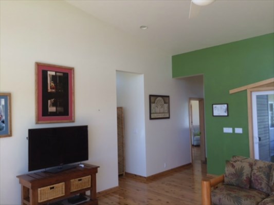 18-4271 Luna Ikena Road Mountain View, HI 96771 - Photo 8 of 19