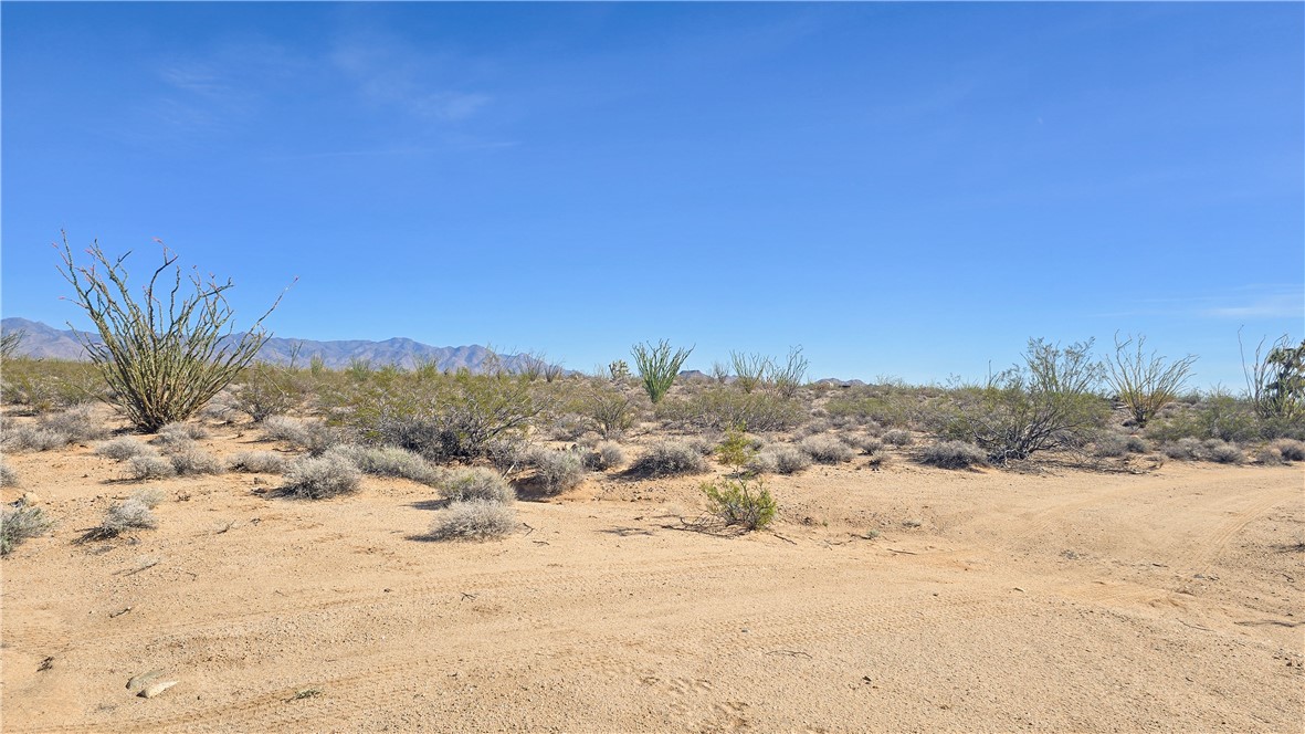 245-21-008 South Ray Road Yucca, AZ 86438 - Photo 10 of 19