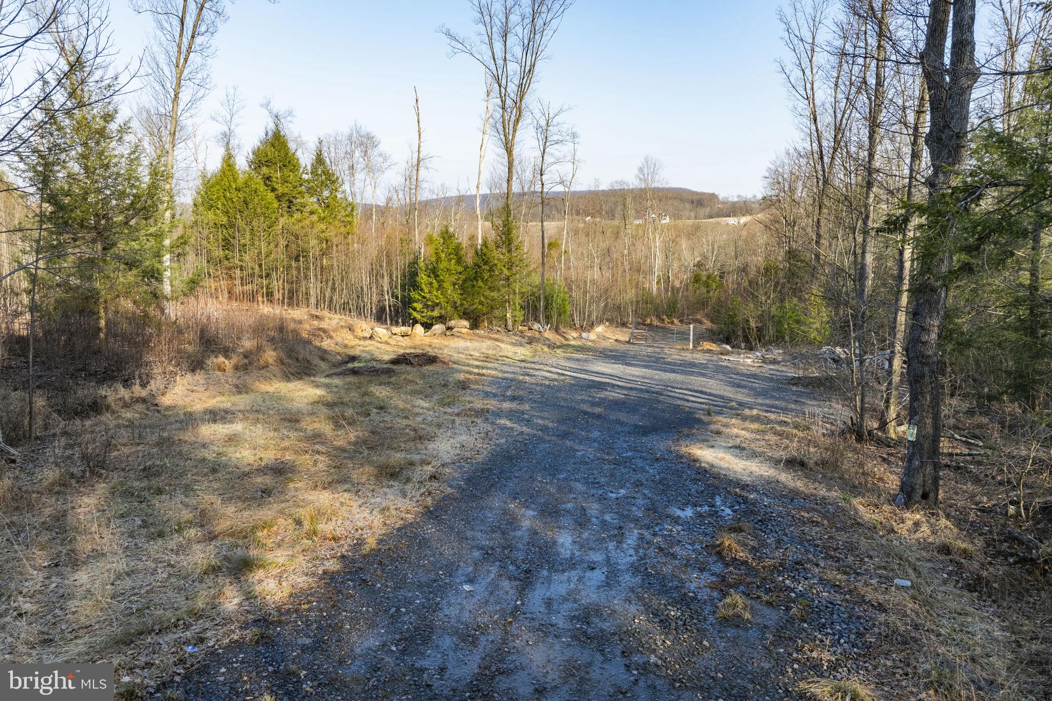 0 Airport Road Ashland, PA 17921 - Photo 18 of 20 a view of dirt yard with a large tree