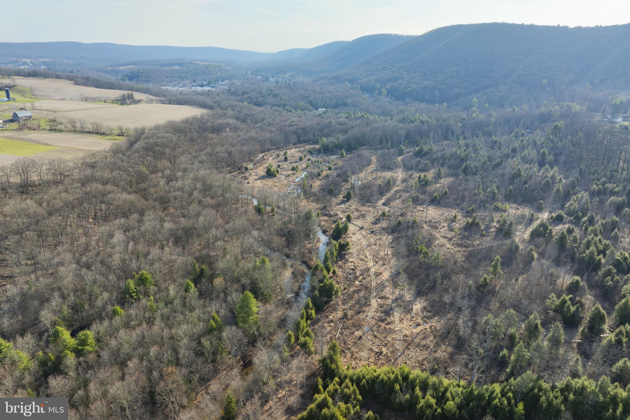 0 Airport Road Ashland, PA 17921 - Photo 5 of 20 a view of a dry field with trees in the background