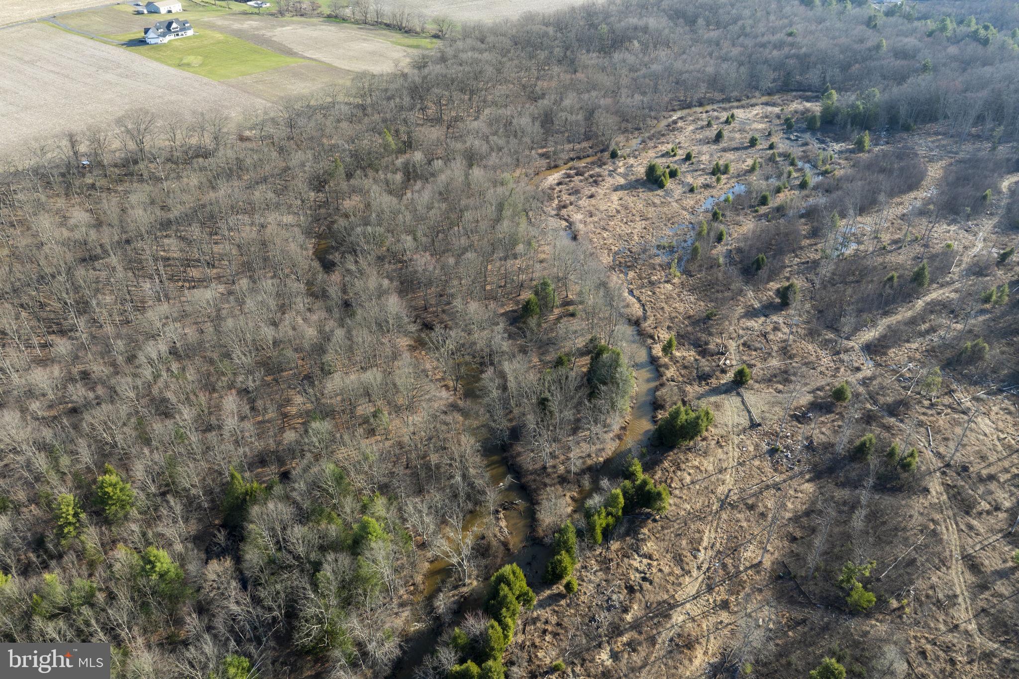 0 Airport Road Ashland, PA 17921 - Photo 6 of 20 a view of a dry yard with trees