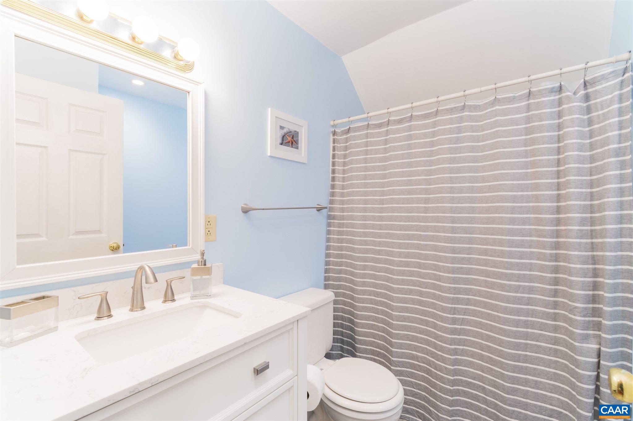 322 East Daffodil Road Ruckersville, VA 22968 - Photo 26 of 28 a bathroom with a toilet a sink and mirror