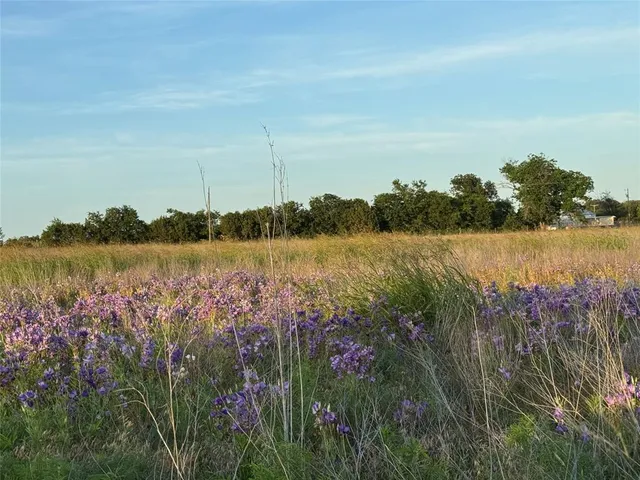 a view of lake with green space