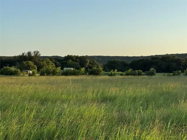 a view of a lush green field