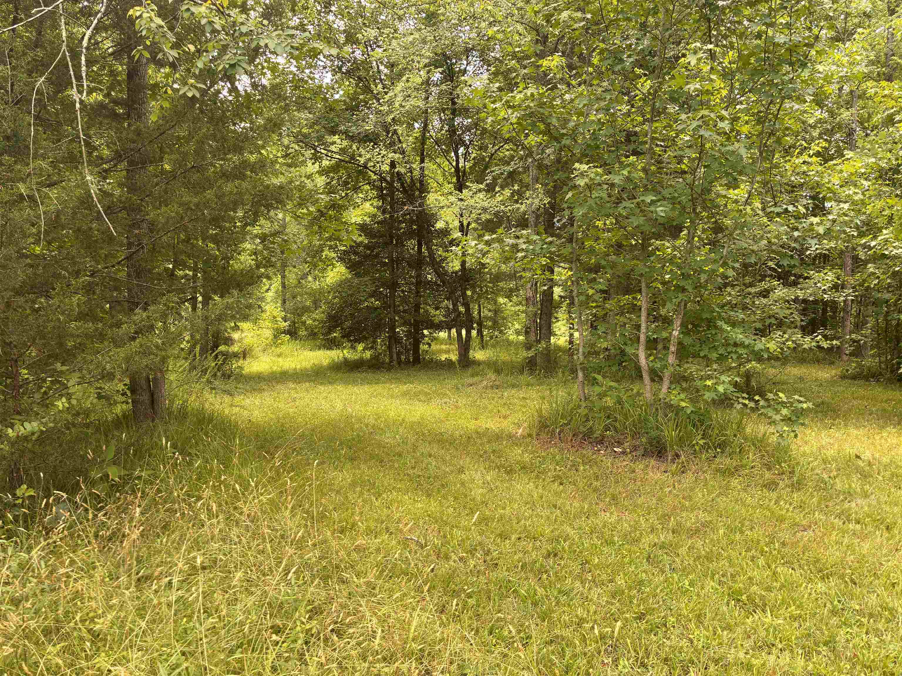Lot 1 State Rd S-11-54 Gaffney, SC 29340 - Photo 2 of 19