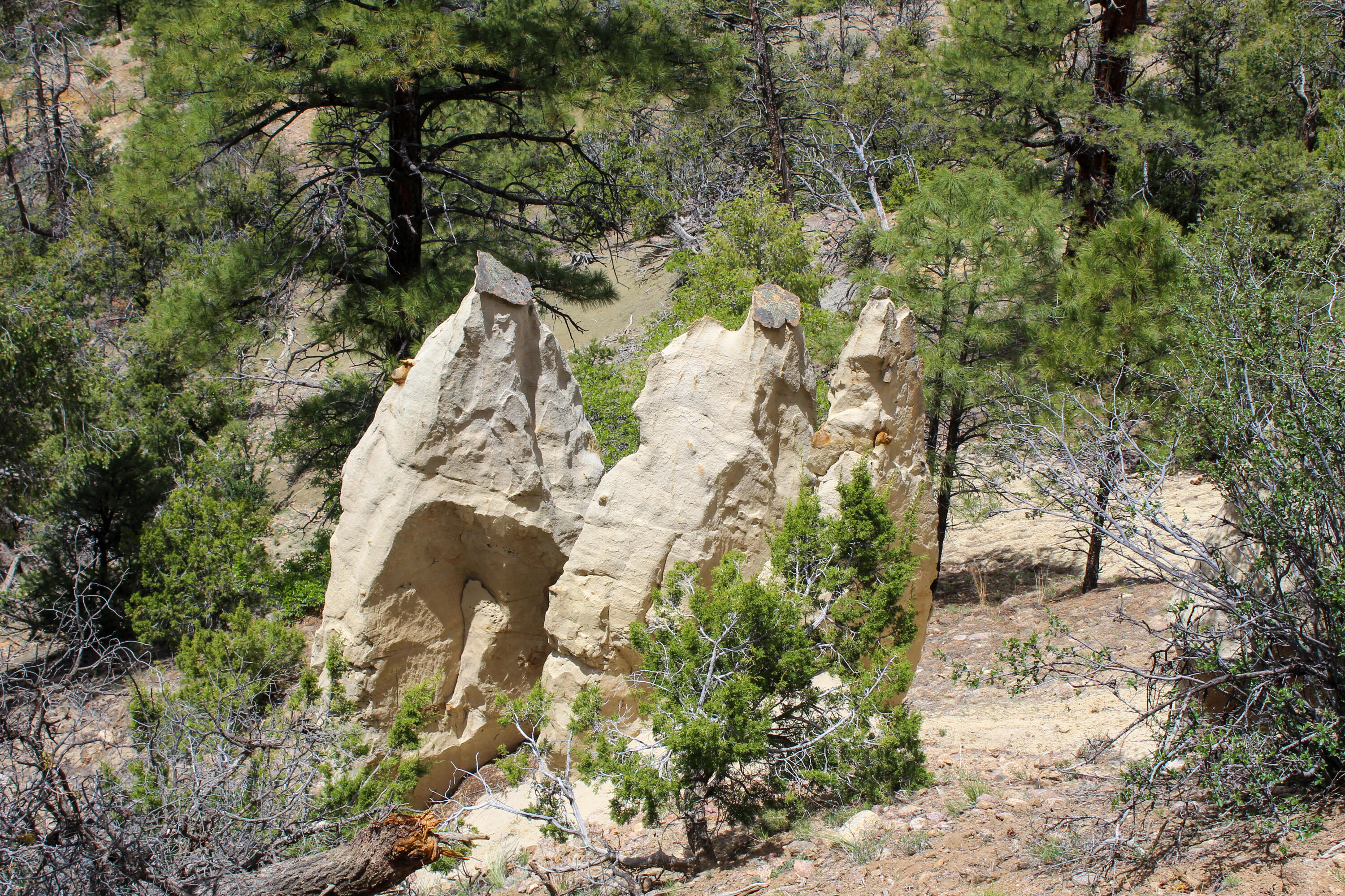 200 County Road Cuba, NM 87013 - Photo 51 of 70 Gallery Image 51