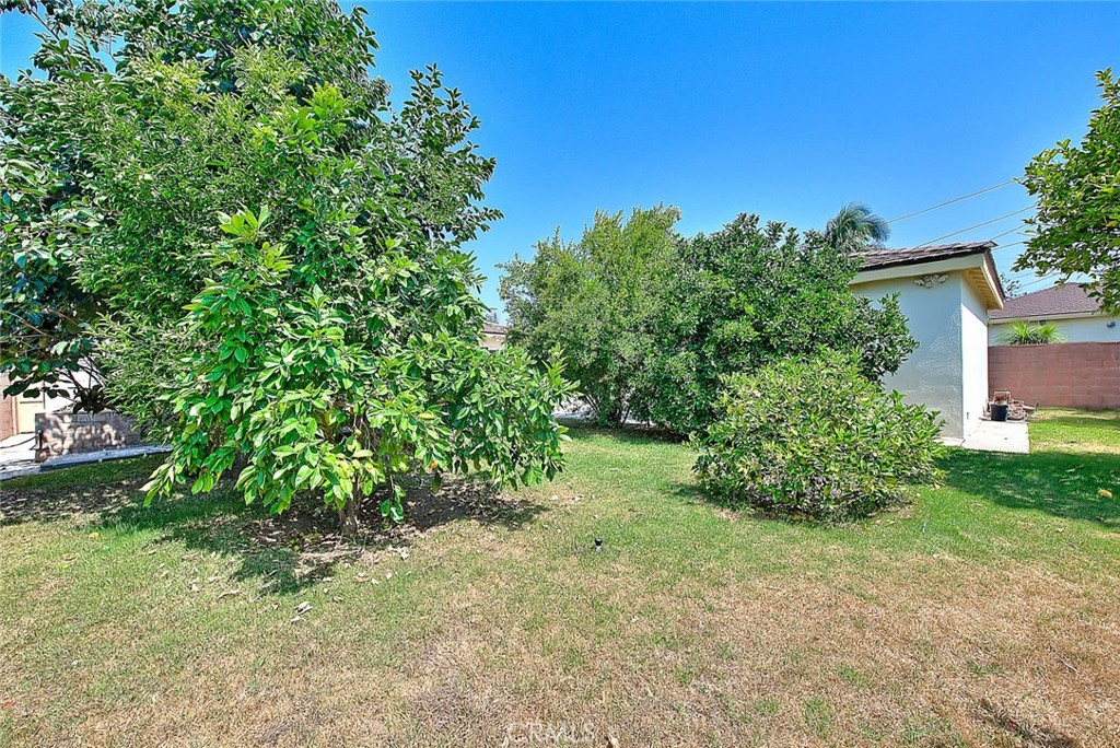 620 North 5th Street Montebello, CA 90640 - Photo 61 of 68 a view of a garden with plants