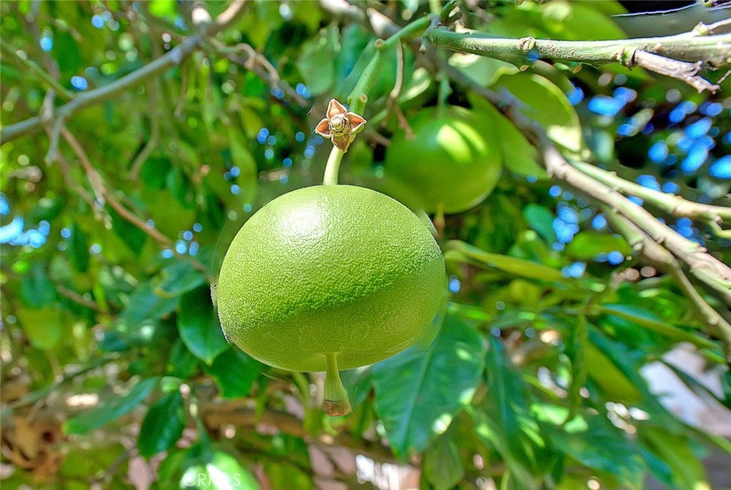 620 North 5th Street Montebello, CA 90640 - Photo 66 of 68