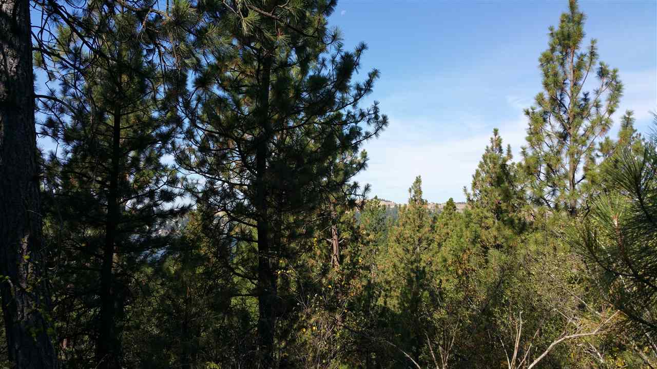 26 South Lakeside Road Liberty Lake, WA 99019 - Photo 2 of 9