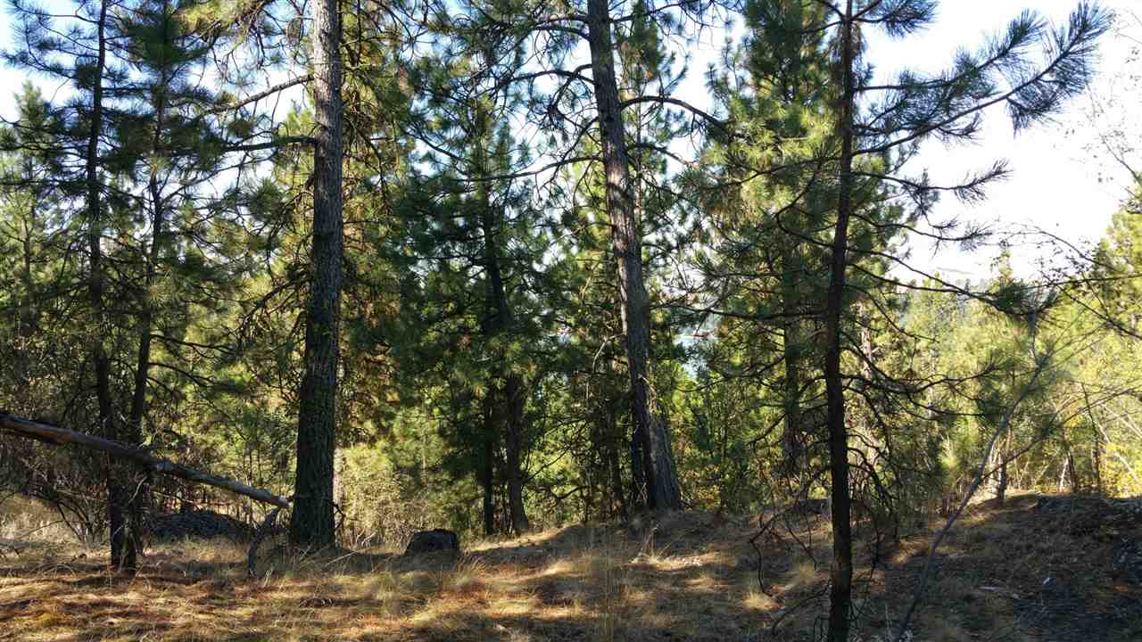 26 South Lakeside Road Liberty Lake, WA 99019 - Photo 3 of 9