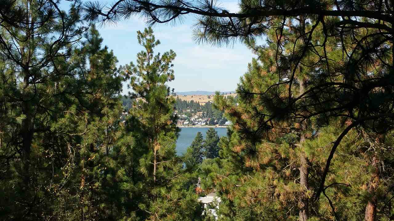 26 South Lakeside Road Liberty Lake, WA 99019 - Photo 7 of 9