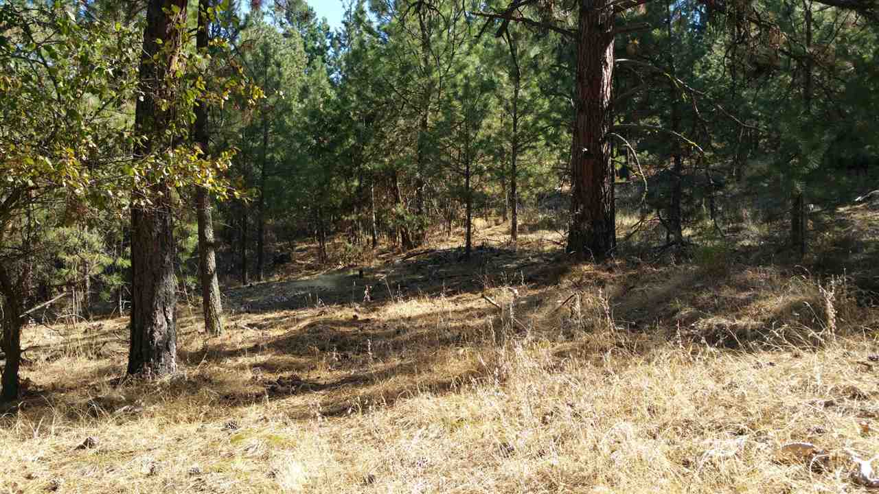 26 South Lakeside Road Liberty Lake, WA 99019 - Photo 8 of 9