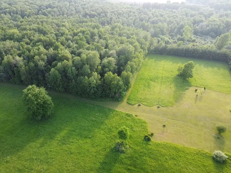 236 West Stone Road Deckerville, MI 48427 - Photo 15 of 48 2026-06-10-19-03-22-686