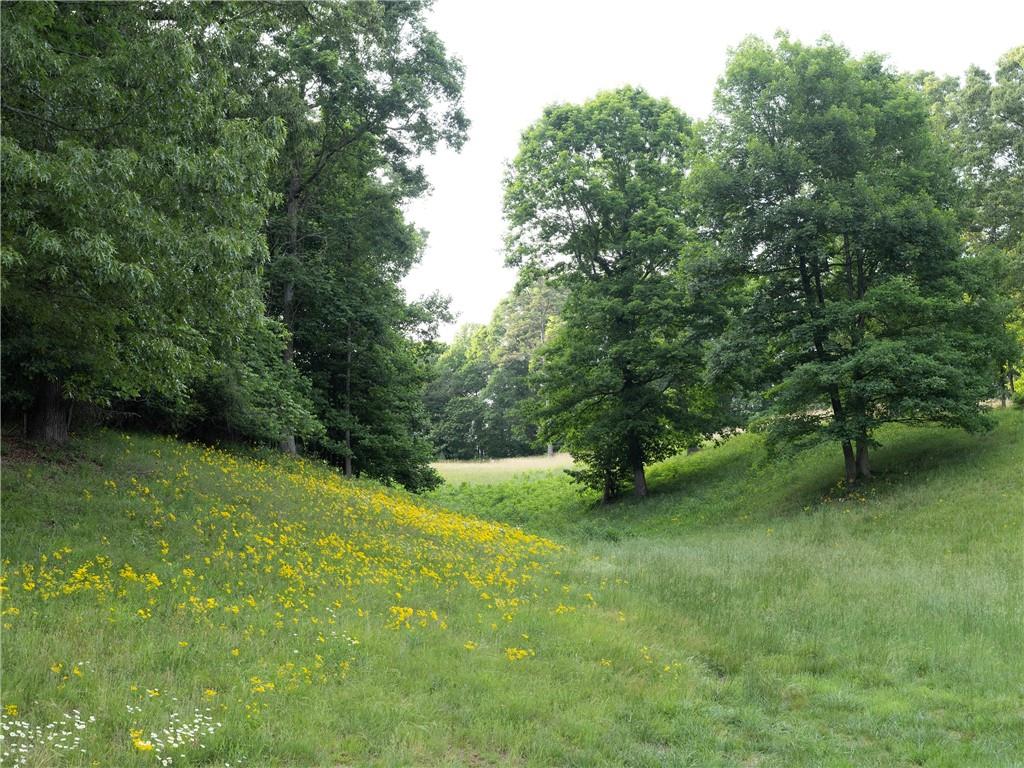 619 Hamp Mill Road Dahlonega, GA 30533 - Photo 98 of 118