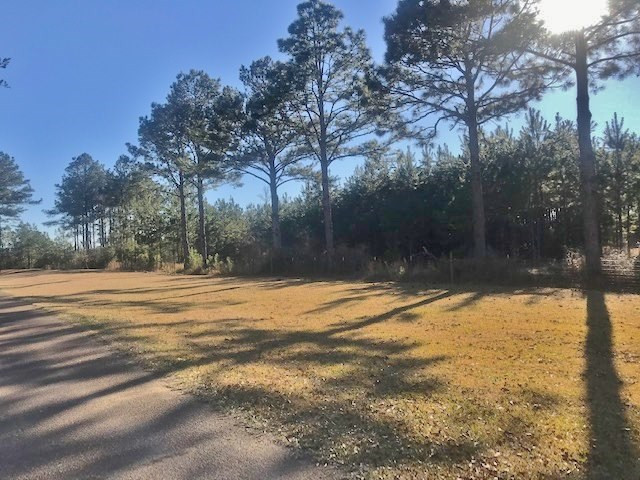 1027 Jessie Morgan Road Jayess, MS 39641 - Photo 27 of 29 Photo 27