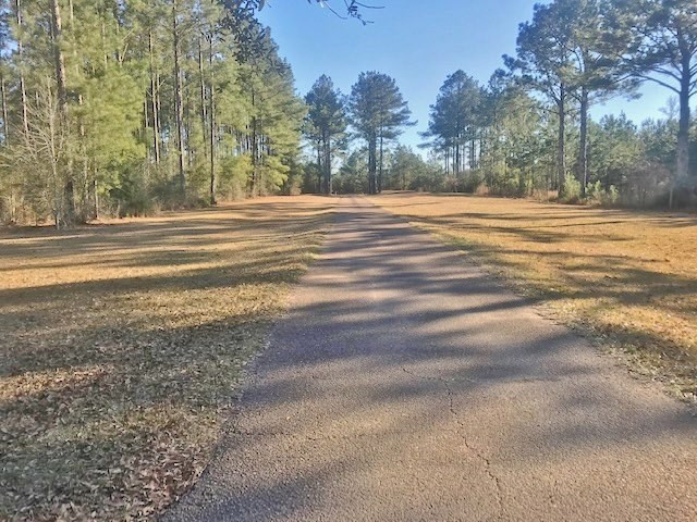 1027 Jessie Morgan Road Jayess, MS 39641 - Photo 28 of 29 Photo 28