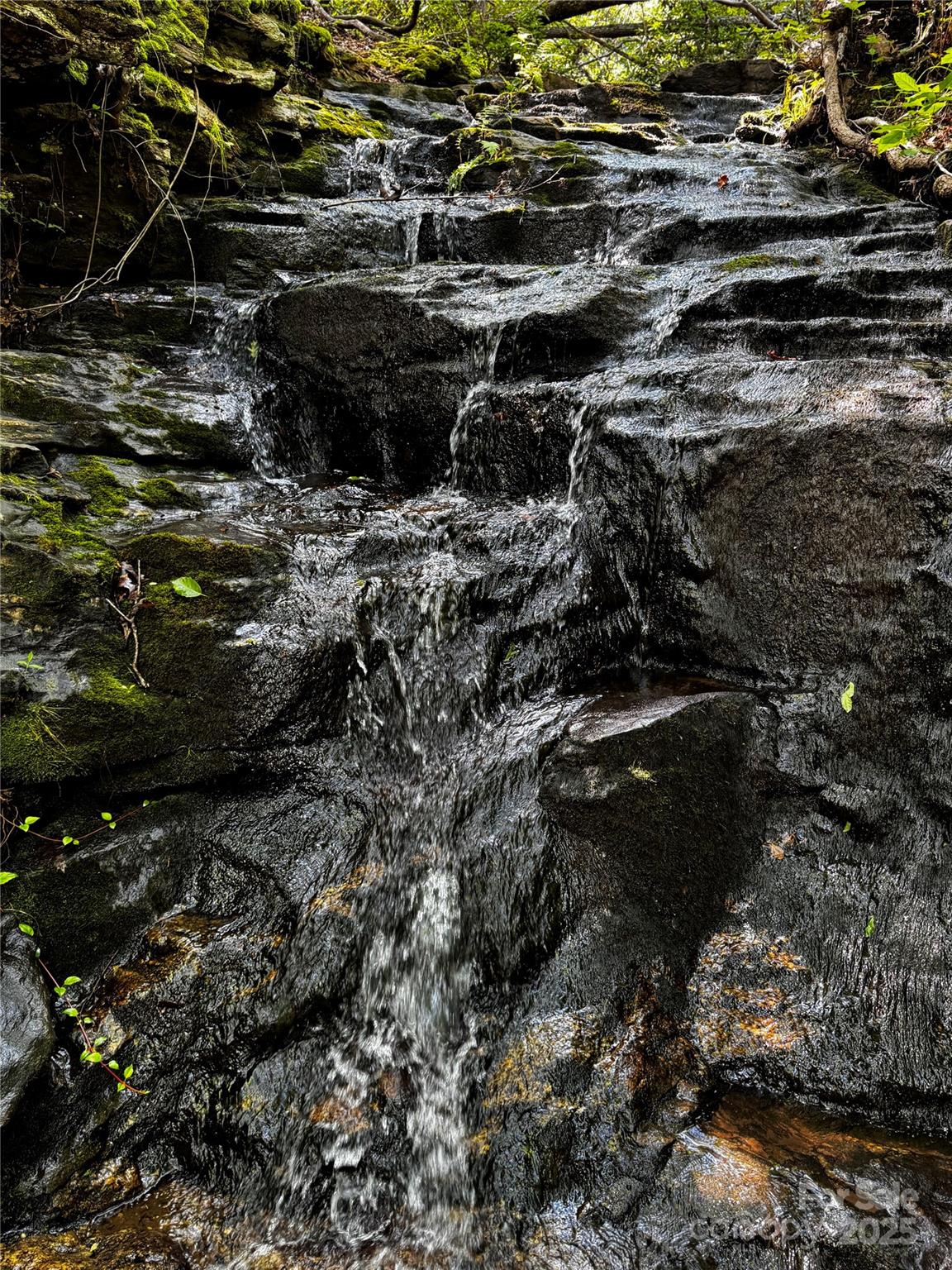 650 Golf Course Road Tryon, NC 28782 - Photo 48 of 48