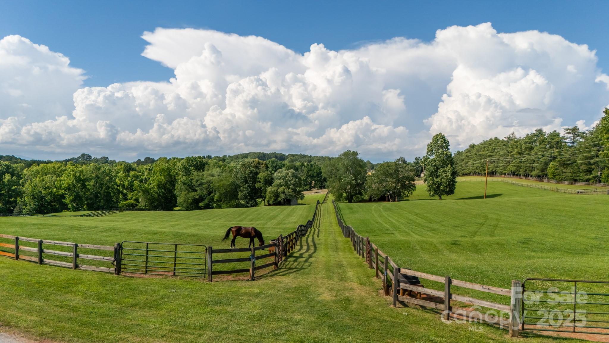 650 Golf Course Road Tryon, NC 28782 - Photo 10 of 48 a view of a big yard with seating area