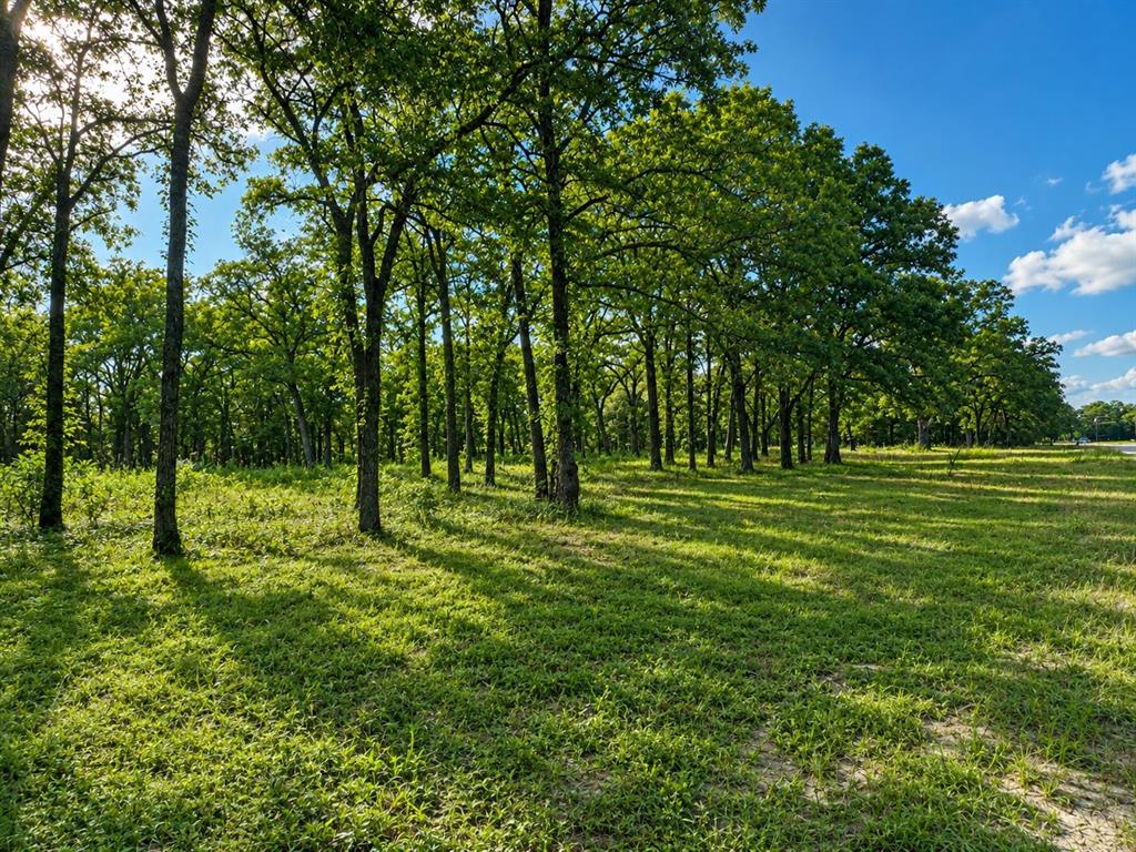 1503 County Road 1503 Point, TX 75472 - Photo 4 of 6 Perfect spot for your barndominium or home