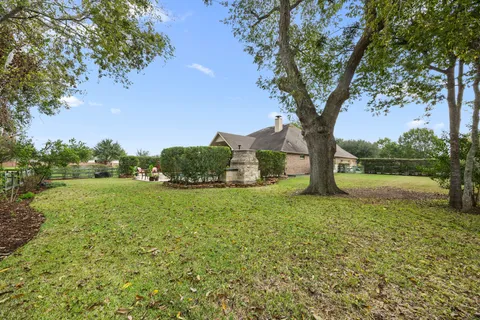 a large tree in front of a house with a yard