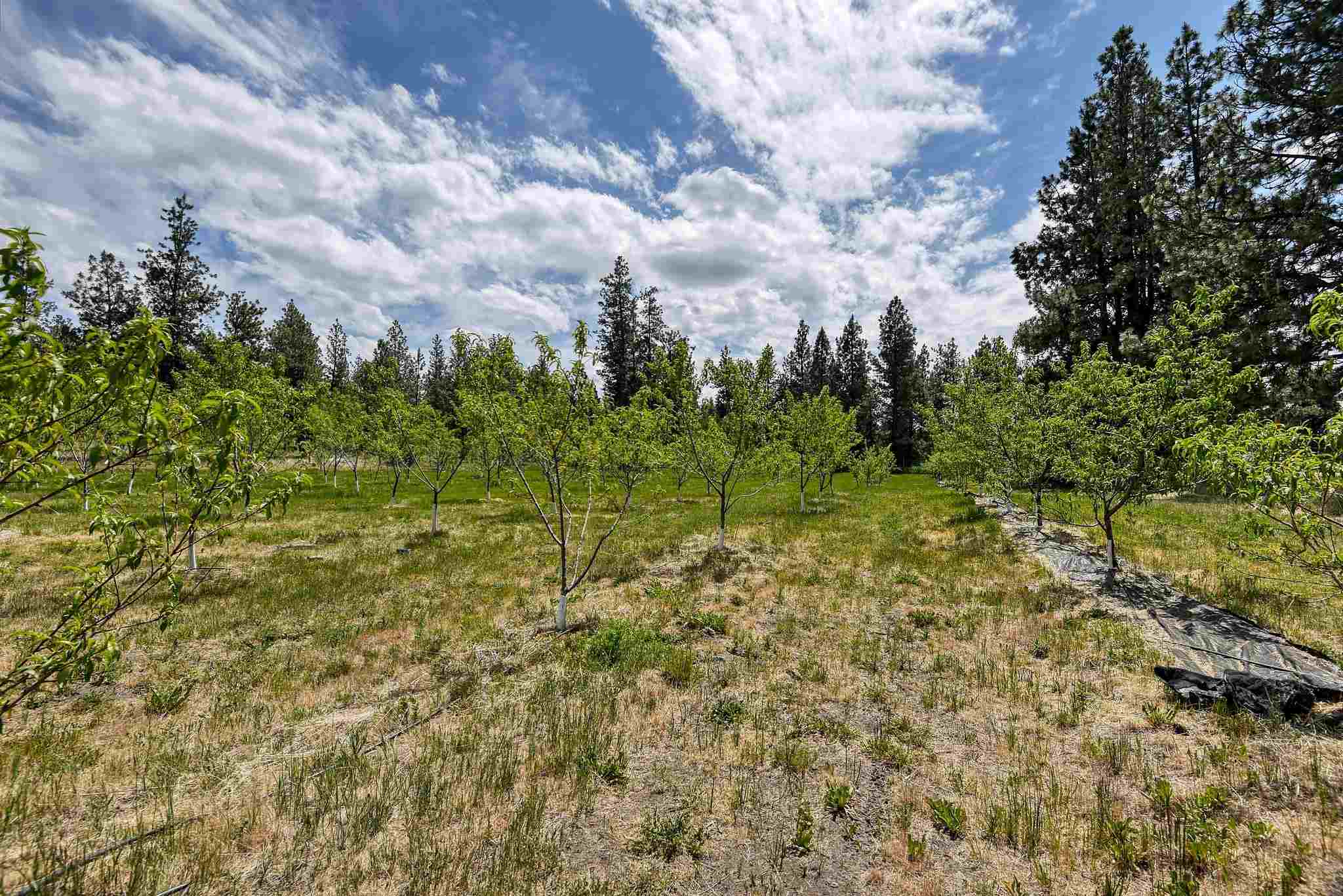 19619 South Culver Road Cheney, WA 99004 - Photo 32 of 40